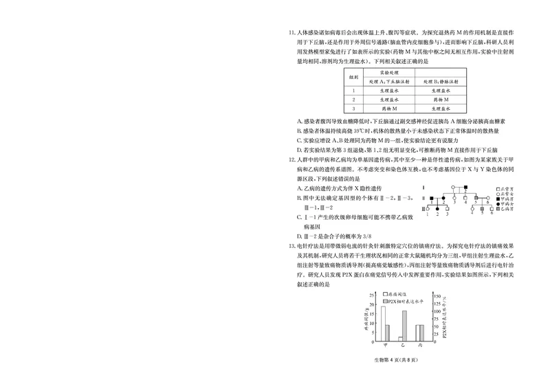 《大数据智学领航2026年高考适应训练生物_2024-2027高三（6-6月题库）_2026年05月高三试卷_260521四川省大数据智学领航2026年5月高考适应训练（全科）》第4页预览