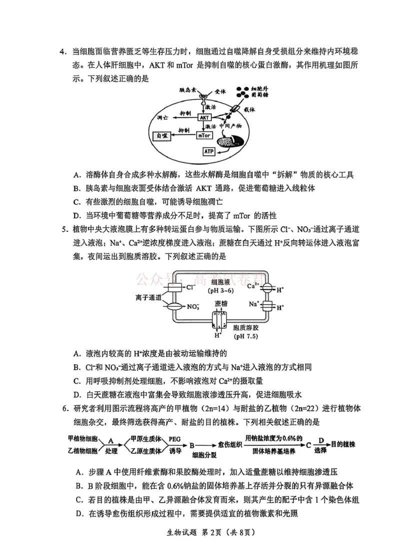 《广元市高2026届第二次高考适应性检测生物_副本_12.2026年4月全国各地高考模拟卷_2026届四川省广元市高三第二次高考适应性检测全科_06生物_四川省广元市高三第二次高考适应性检测》第2页预览