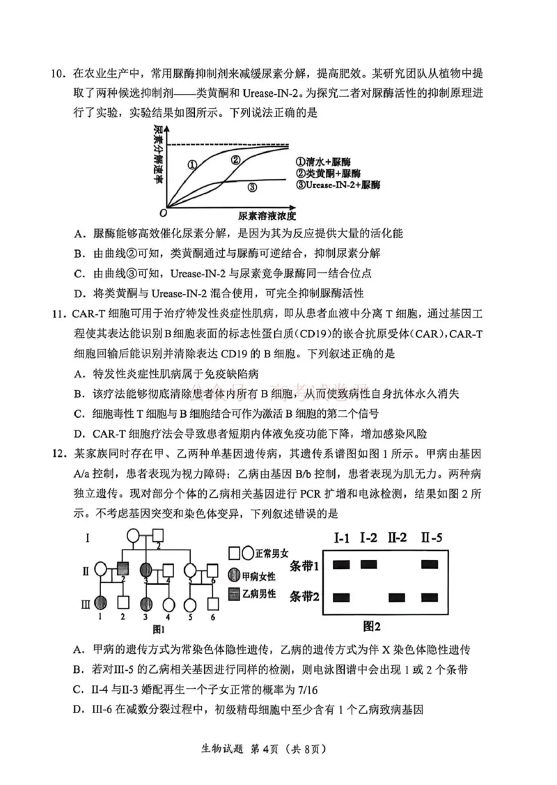 《广元市高2026届第二次高考适应性检测生物_副本_12.2026年4月全国各地高考模拟卷_2026届四川省广元市高三第二次高考适应性检测全科_06生物_四川省广元市高三第二次高考适应性检测》第4页预览