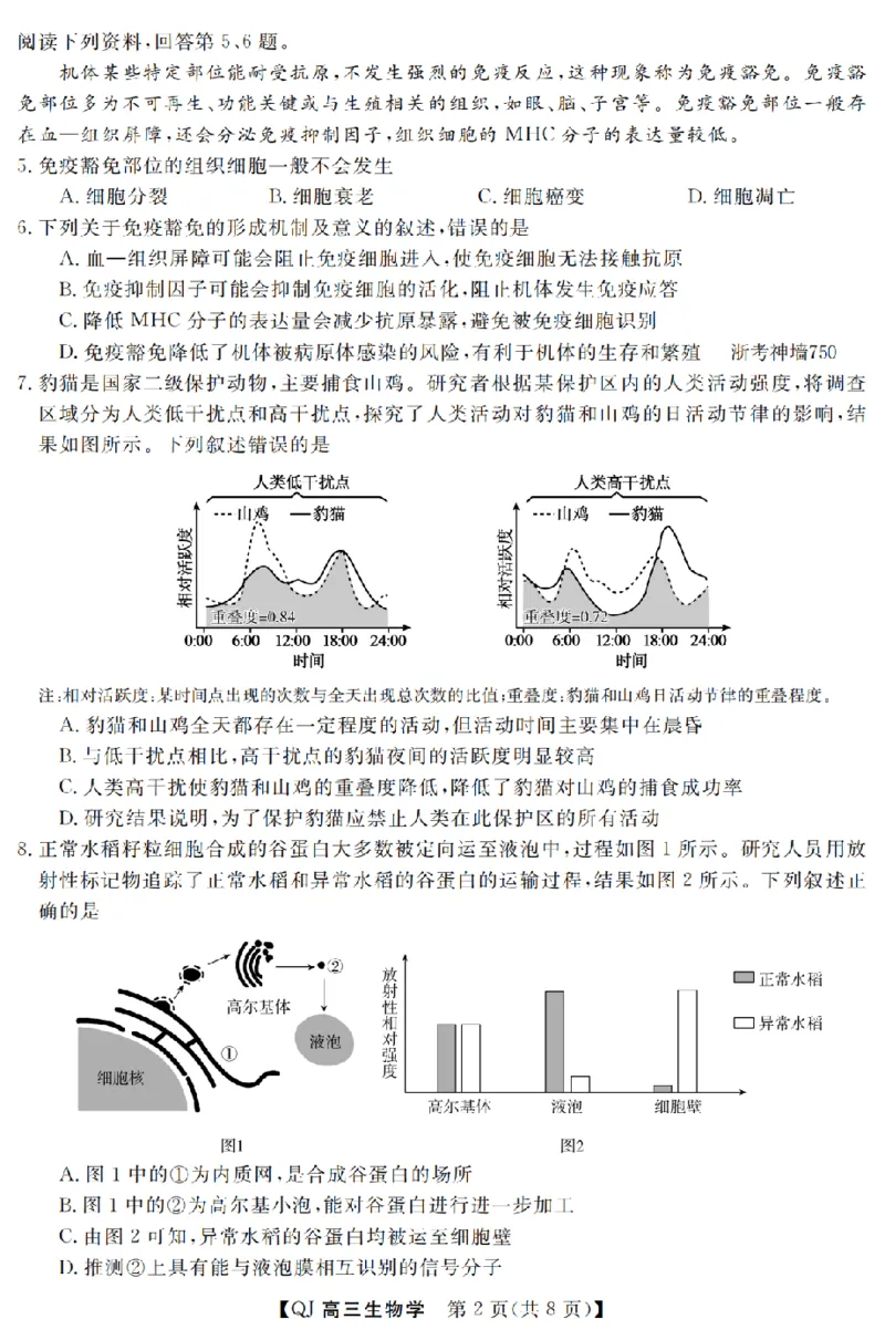 《强基联盟2026年高三5月题库生物_2024-2027高三（6-6月题库）_2026年05月高三试卷_260509浙江省强基联盟2026年高三5月题库（全科）》第2页预览