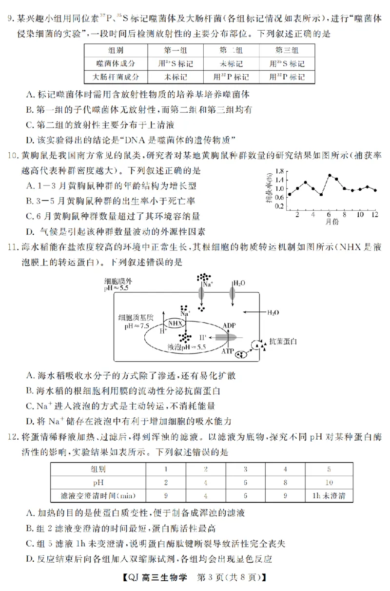 《强基联盟2026年高三5月题库生物_2024-2027高三（6-6月题库）_2026年05月高三试卷_260509浙江省强基联盟2026年高三5月题库（全科）》第3页预览