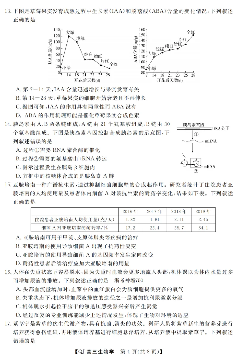 《强基联盟2026年高三5月题库生物_2024-2027高三（6-6月题库）_2026年05月高三试卷_260509浙江省强基联盟2026年高三5月题库（全科）》第4页预览