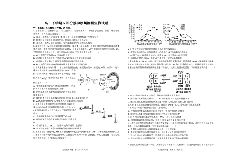 《山东省菏泽第一中学2025-2026学年高二下学期6月阶段检测生物试题_2024-2027高二（7-7月题库）_2026年06月高二试卷_260619山东省菏泽第一中学2025-2026学年高二下学期6月阶段检测》第1页预览