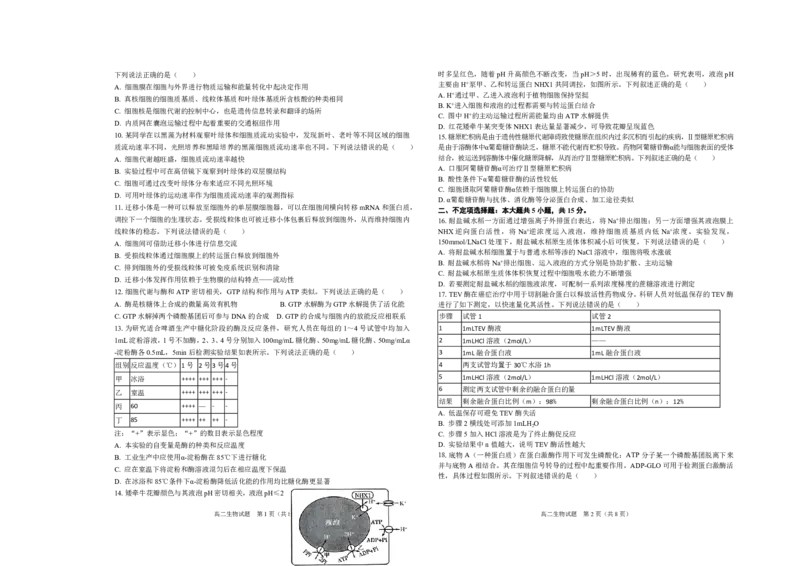 《山东省菏泽第一中学2025-2026学年高二下学期6月阶段检测生物试题_2024-2027高二（7-7月题库）_2026年06月高二试卷_260619山东省菏泽第一中学2025-2026学年高二下学期6月阶段检测》第2页预览