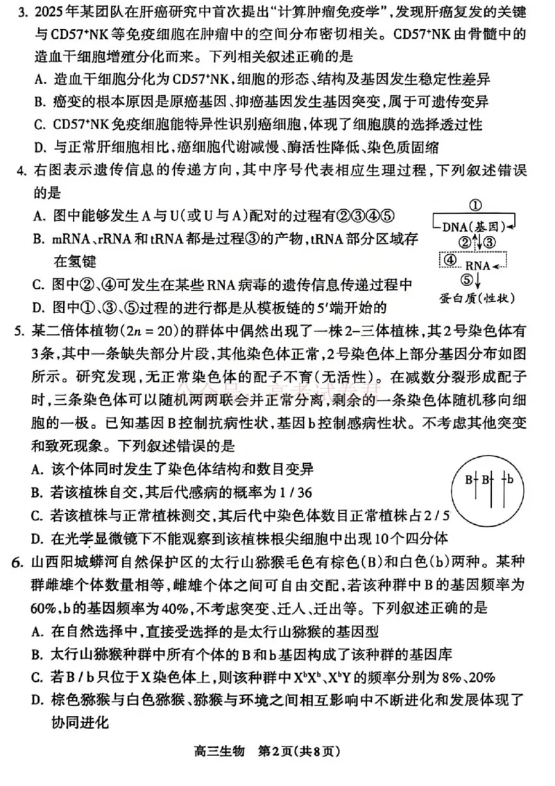 《吕梁市2025-2026学年高三第二次模拟调研测试生物_副本_12.2026年4月全国各地高考模拟卷_2026届山西省吕梁市高三第二次模拟调研测试全科》第2页预览