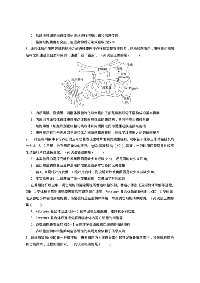 《山东省济宁一中2025-2026学年高二下学期期中生物试题_2024-2027高二（7-7月题库）_2026年05月高二试卷_260522山东济宁市第一中学2025-2026学年高二下学期期中考试》第2页预览
