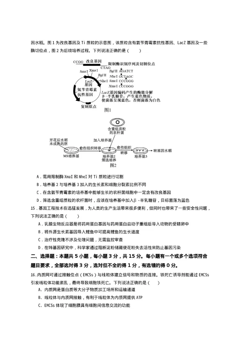 《山东省济宁一中2025-2026学年高二下学期期中生物试题_2024-2027高二（7-7月题库）_2026年05月高二试卷_260522山东济宁市第一中学2025-2026学年高二下学期期中考试》第4页预览