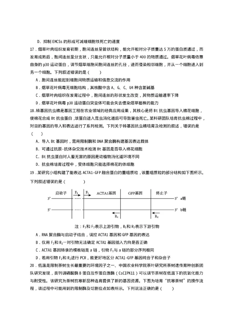 《山东省济宁一中2025-2026学年高二下学期期中生物试题_2024-2027高二（7-7月题库）_2026年05月高二试卷_260522山东济宁市第一中学2025-2026学年高二下学期期中考试》第5页预览