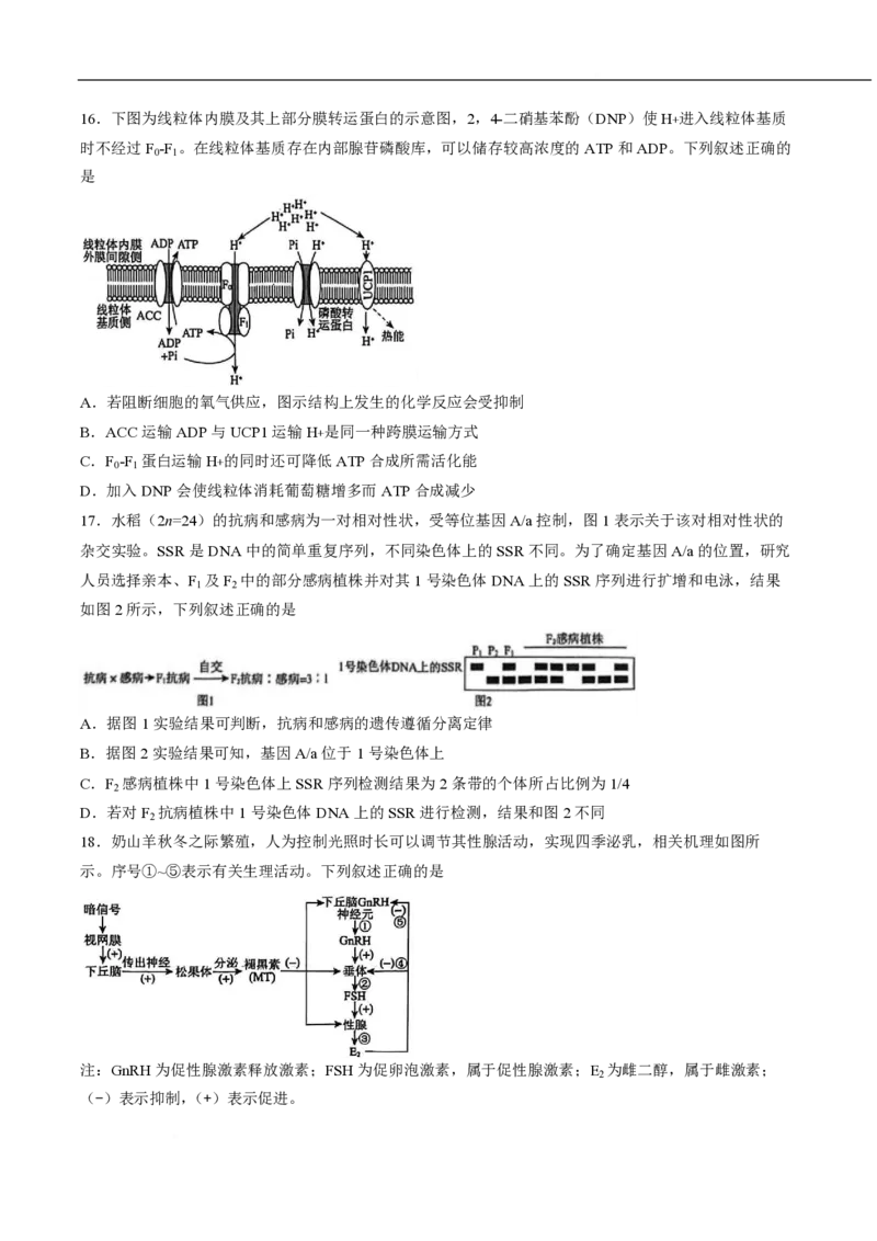 《辽宁省名校联盟2026届高三下学期高考模拟卷（信息卷）（二）生物试卷_12.2026年4月全国各地高考模拟卷_2026届辽宁省名校联盟高三下学期高考模拟卷（信息卷）（一二三四）》第6页预览