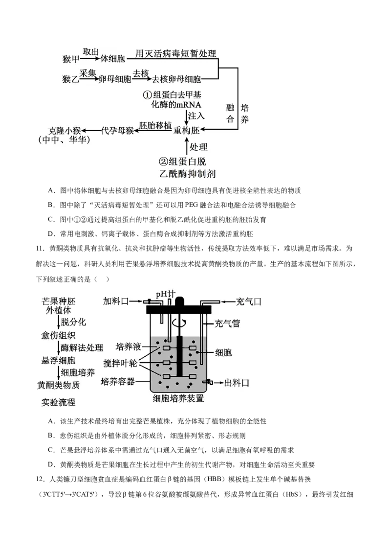 《广西玉林市五校联考2025-2026学年高二下学期5月期中考试生物Word版含答案_2024-2027高二（7-7月题库）_2026年06月高二试卷_260618广西玉林市五校联考2025-2026学年高二下学期5月期中考试》第4页预览