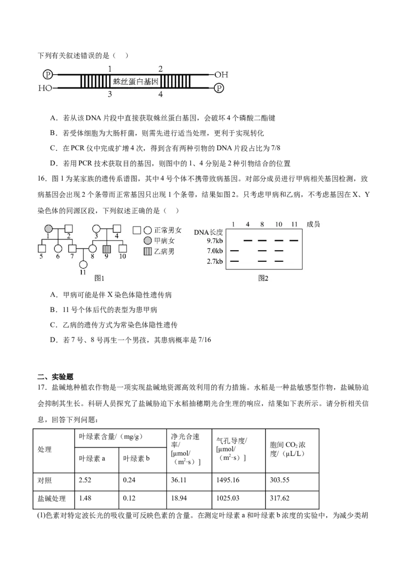 《广西玉林市五校联考2025-2026学年高二下学期5月期中考试生物Word版含答案_2024-2027高二（7-7月题库）_2026年06月高二试卷_260618广西玉林市五校联考2025-2026学年高二下学期5月期中考试》第6页预览