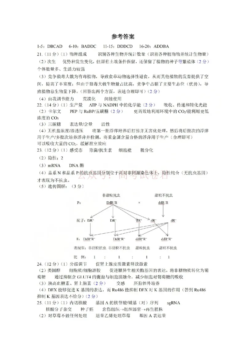《金华十校2026年4月高三模拟考试生物答案_副本_12.2026年4月全国各地高考模拟卷_2026年4月_2026届浙江省金华十校高三4月模拟考试全科_06生物_浙江省金华十校高三4月模拟考试》第1页预览
