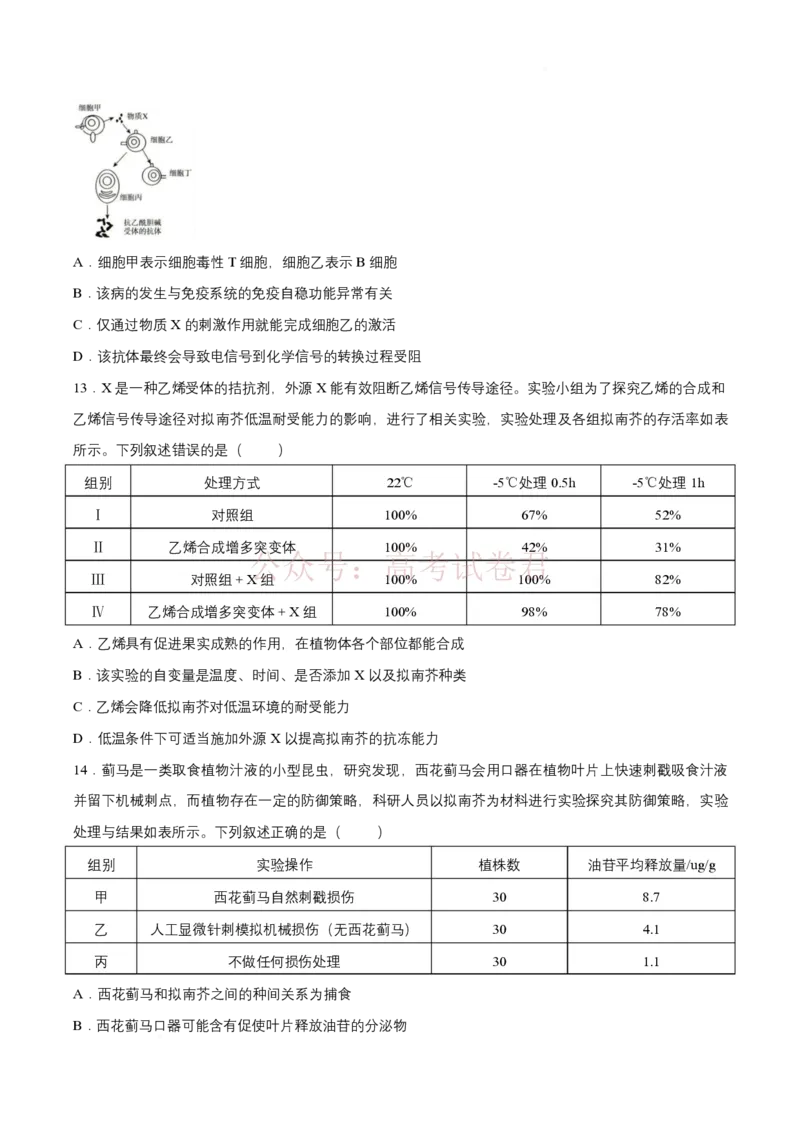 《青桐鸣大联考2026年高三4月内部练生物_12.2026年4月全国各地高考模拟卷_2026年4月_2026届青桐鸣大联考高三4月内部练全科_06生物_青桐鸣大联考高三4月内部练》第4页预览