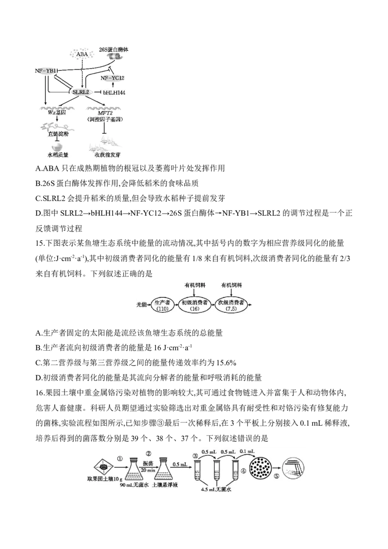 《广东省部分学校2025-2026学年高二下学期5月联考生物试卷（含解析）_2024-2027高二（7-7月题库）_2026年05月高二试卷_260528广东省部分学校2025-2026学年高二下学期5月联考(1)》第5页预览