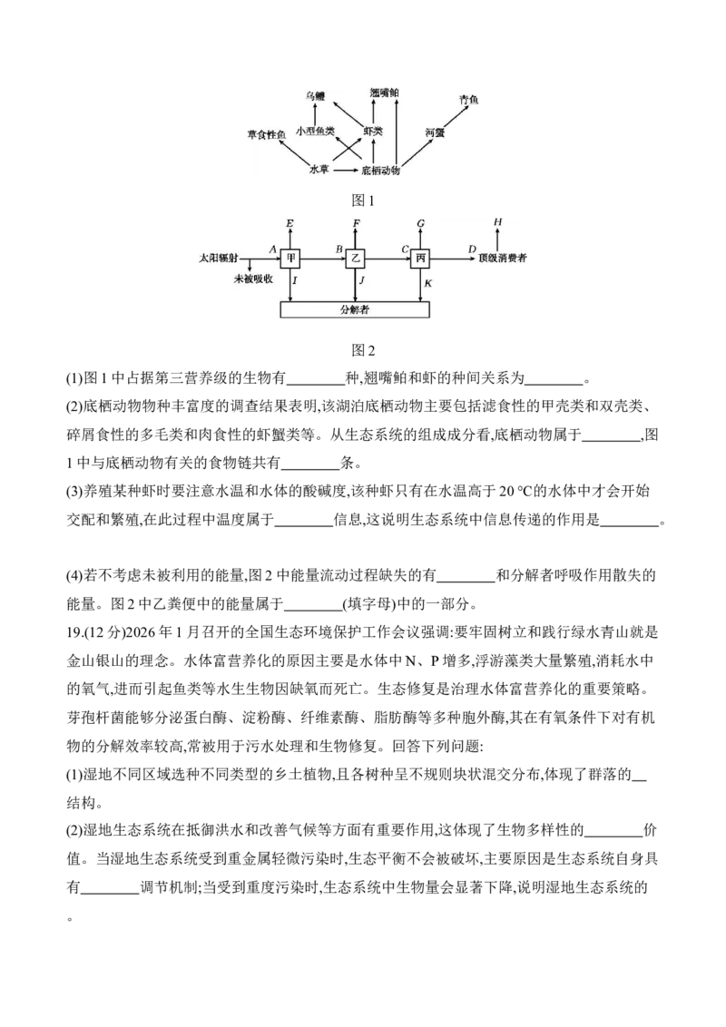 《广东省部分学校2025-2026学年高二下学期5月联考生物试卷（含解析）_2024-2027高二（7-7月题库）_2026年05月高二试卷_260528广东省部分学校2025-2026学年高二下学期5月联考(1)》第7页预览