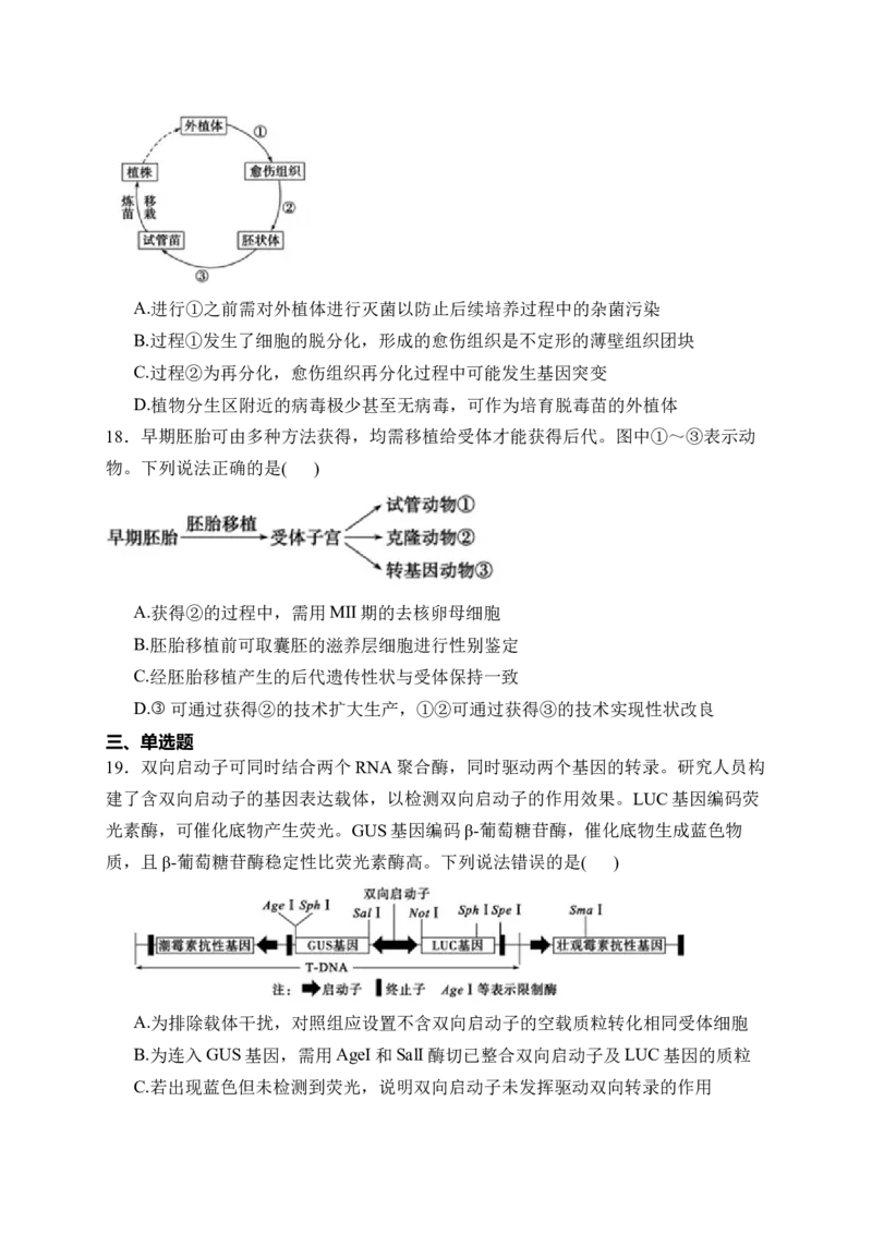 《山东省德州市2025-2026学年高二下学期期中考试生物试卷（含解析）_2024-2027高二（7-7月题库）_2026年05月高二试卷_260521山东省德州市2025-2026学年高二下学期期中考试（全）》第5页预览