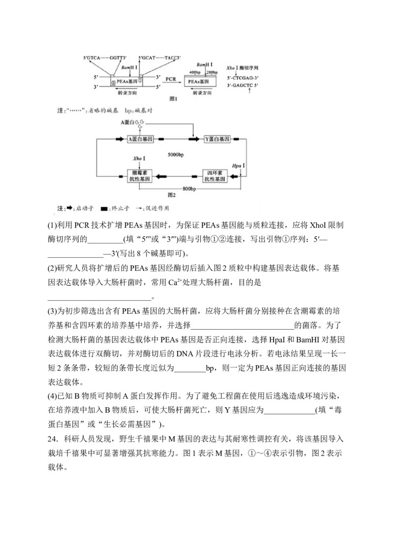 《山东省德州市2025-2026学年高二下学期期中考试生物试卷（含解析）_2024-2027高二（7-7月题库）_2026年05月高二试卷_260521山东省德州市2025-2026学年高二下学期期中考试（全）》第8页预览