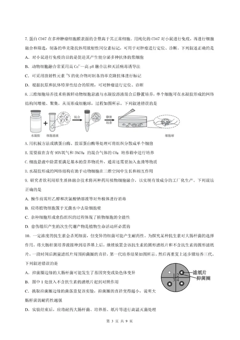《山东师范大学附属中学2025-2026学年高二下学期期中生物试题_2024-2027高二（7-7月题库）_2026年06月高二试卷_260612山东师范大学附属中学2025-2026学年高二下学期5月期中检测试题（全）》第3页预览