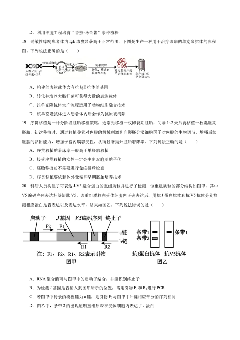 《山东省烟台市2025-2026学年高二下学期期中学业水平诊断试题生物Word版含答案_2024-2027高二（7-7月题库）_2026年06月高二试卷》第6页预览