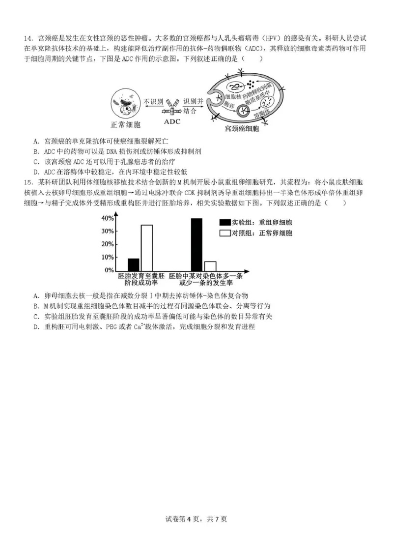 《成都七中周测（5月8日）生物试题卷_2024-2027高三（6-6月题库）_2026年05月高三试卷_260518四川省成都市第七中学2025~2026学年度下期高2026届高三年级5月周测练习》第4页预览