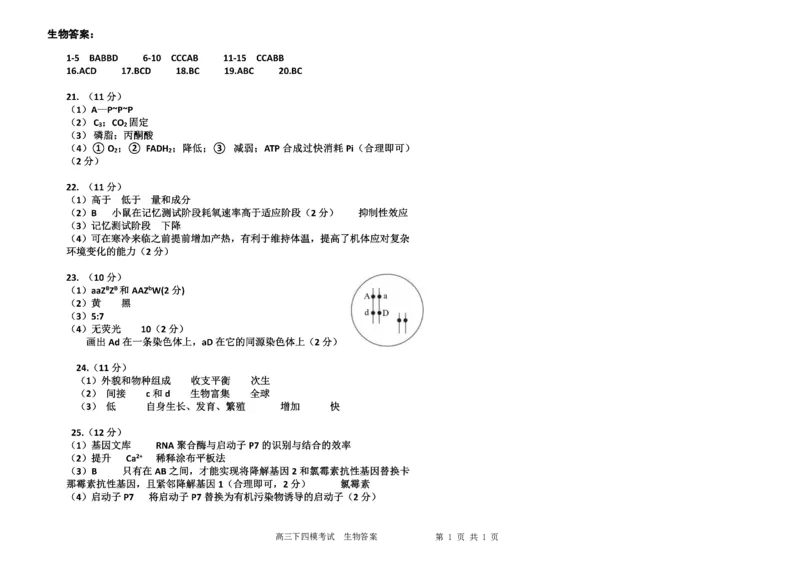 《哈九中2025-2026学年度高三下学期第四次模拟考试生物答案_2024-2027高三（6-6月题库）_2026年05月高三试卷_260524黑龙江省哈九中2025-2026学年度高三下学期第四次模拟考试（全科）》第1页预览