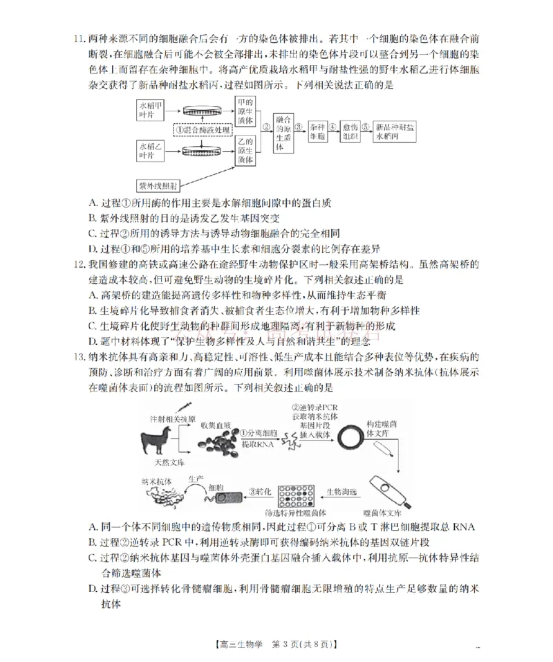 《四川省2026届高三下学期3月联考（26-157C）生物_副本_12.2026年4月全国各地高考模拟卷_2026届四川金太阳高三下学期3月联考（26-157C）全科》第3页预览