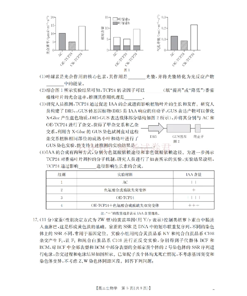 《四川省2026届高三下学期3月联考（26-157C）生物_副本_12.2026年4月全国各地高考模拟卷_2026届四川金太阳高三下学期3月联考（26-157C）全科》第5页预览