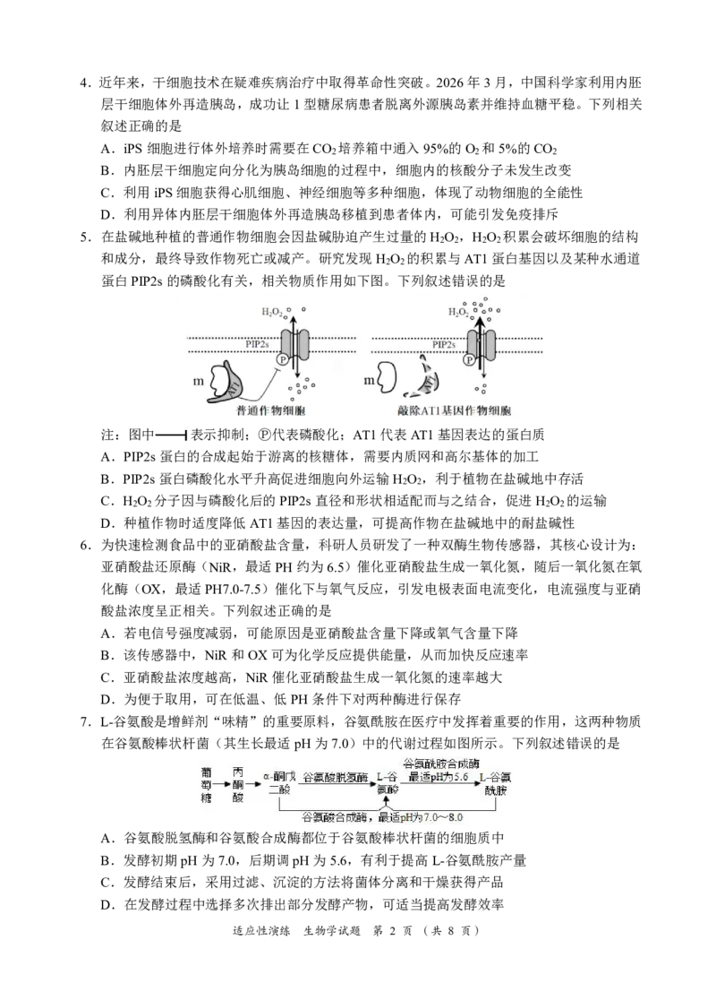 《宜宾市普通高中2023级高考适应性演练生物_2024-2027高三（6-6月题库）_2026年05月高三试卷_260503四川省宜宾市普通高中2023级高考适应性演练（宜宾三诊）（全科）》第2页预览