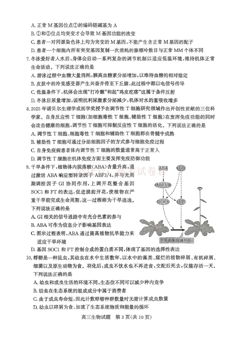 《山东枣庄市2026届高三下学期二模生物_12.2026年4月全国各地高考模拟卷_2026届山东省枣庄市高三3月模拟考试（二调）全科_06生物_山东省枣庄市高三3月模拟考试（二调）》第3页预览