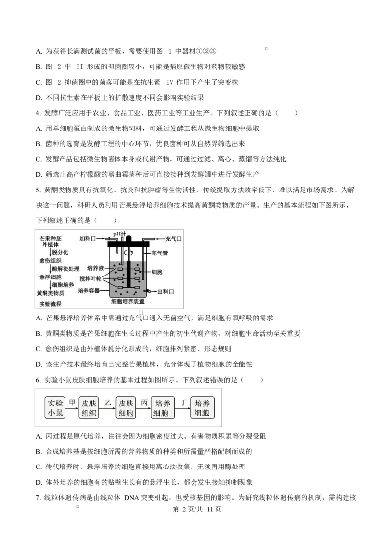 《四川内江市威远中学2025-2026学年高二下学期期中考试生物试题Word版无答案_2024-2027高二（7-7月题库）_2026年06月高二试卷_260608四川内江市威远中学2025-2026学年高二下学期期中考试》第2页预览