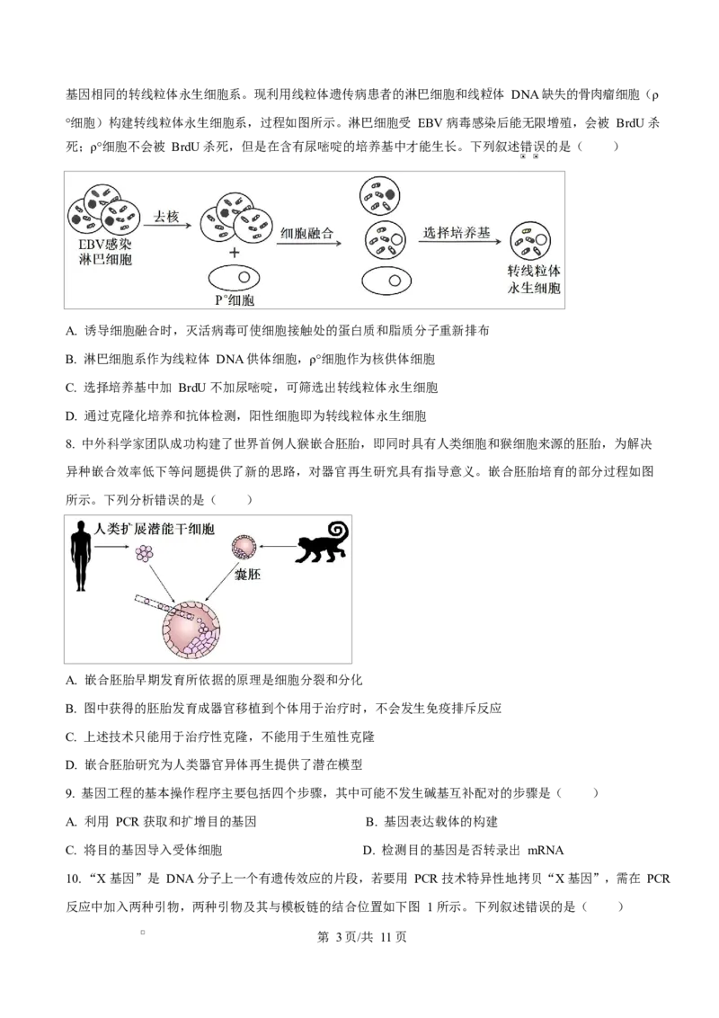 《四川内江市威远中学2025-2026学年高二下学期期中考试生物试题Word版无答案_2024-2027高二（7-7月题库）_2026年06月高二试卷_260608四川内江市威远中学2025-2026学年高二下学期期中考试》第3页预览