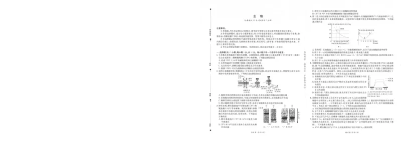 《成都石室中学高2026届适应性考试（一）生物_2024-2027高三（6-6月题库）_2026年05月高三试卷_260521四川省成都石室中学高2026届适应性考试（一）（全科）》第1页预览