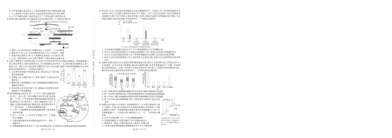 《成都石室中学高2026届适应性考试（一）生物_2024-2027高三（6-6月题库）_2026年05月高三试卷_260521四川省成都石室中学高2026届适应性考试（一）（全科）》第2页预览