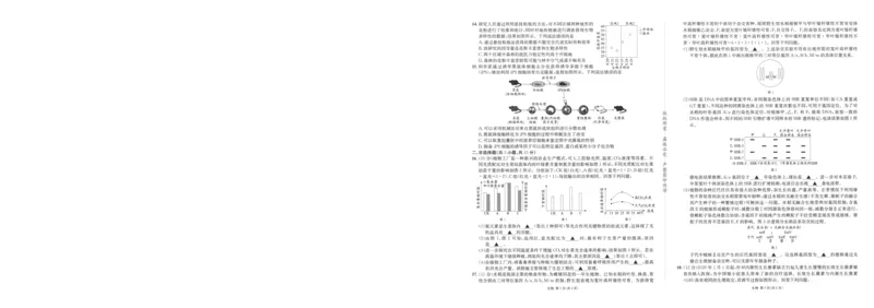 《成都石室中学高2026届适应性考试（一）生物_2024-2027高三（6-6月题库）_2026年05月高三试卷_260521四川省成都石室中学高2026届适应性考试（一）（全科）》第3页预览