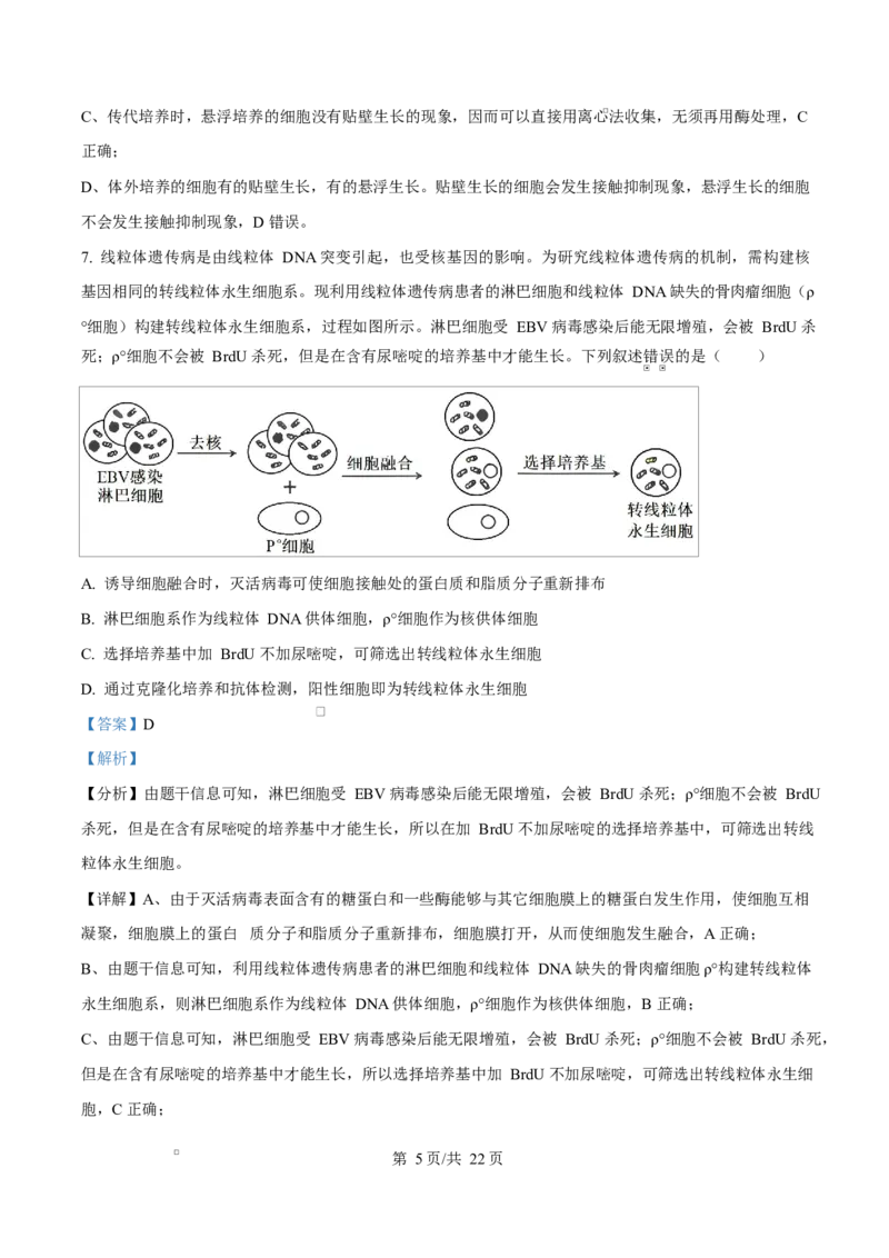 《四川内江市威远中学2025-2026学年高二下学期期中考试生物试题Word版含解析_2024-2027高二（7-7月题库）_2026年06月高二试卷_260608四川内江市威远中学2025-2026学年高二下学期期中考试》第5页预览