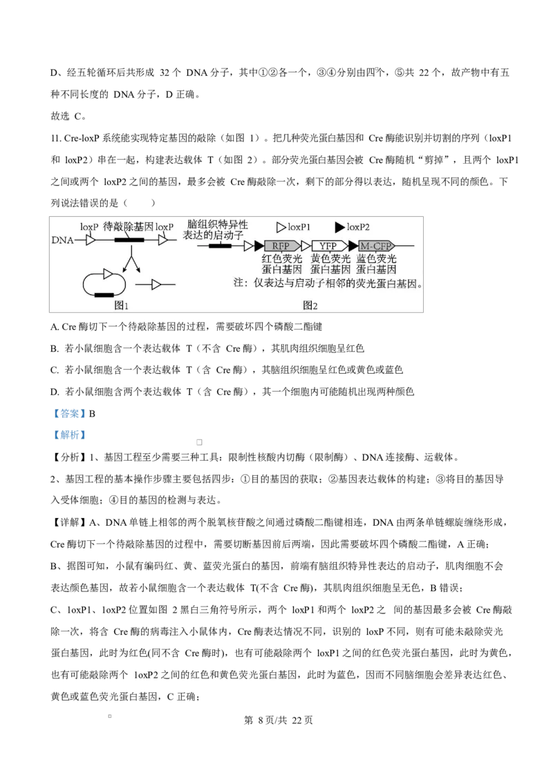 《四川内江市威远中学2025-2026学年高二下学期期中考试生物试题Word版含解析_2024-2027高二（7-7月题库）_2026年06月高二试卷_260608四川内江市威远中学2025-2026学年高二下学期期中考试》第8页预览