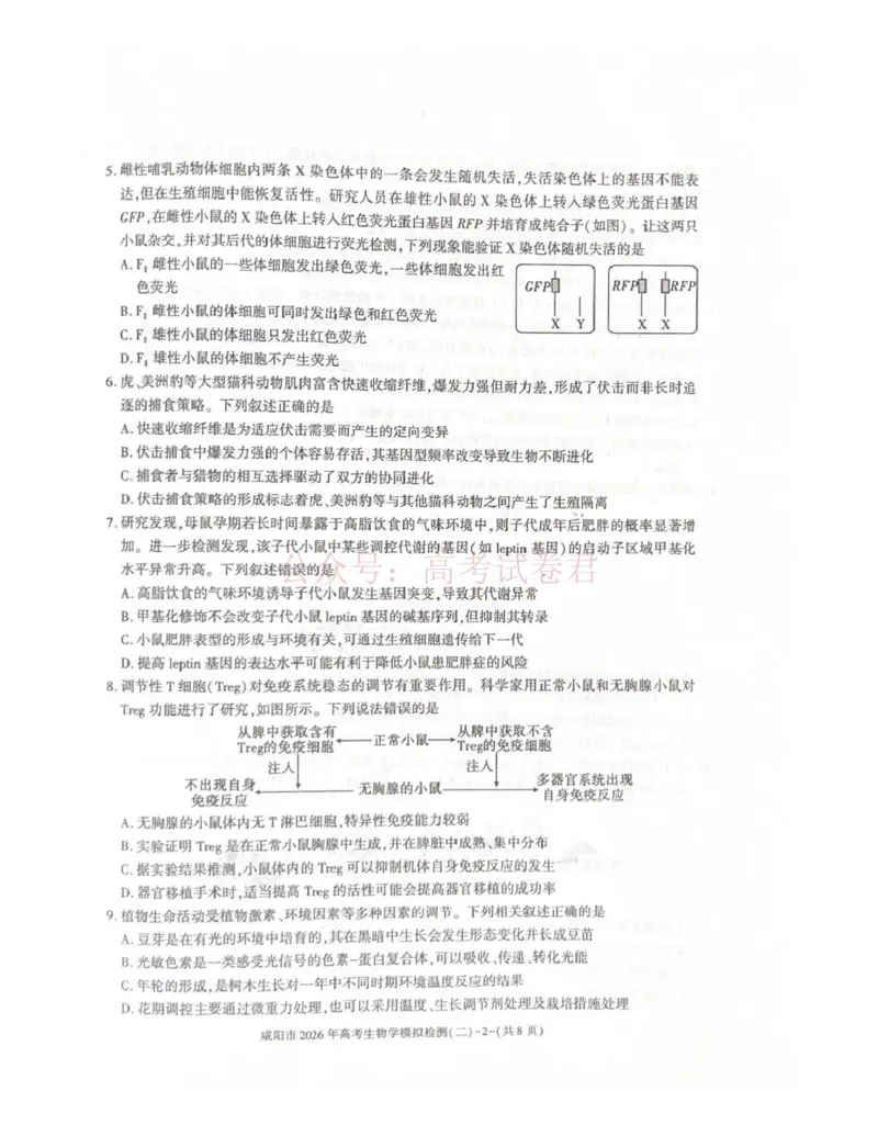 《咸阳市2026年高考模拟检测（二）生物_12.2026年4月全国各地高考模拟卷_2026年陕西省咸阳市高考模拟检测（二）_06生物_陕西省咸阳市高考模拟检测（二）》第2页预览