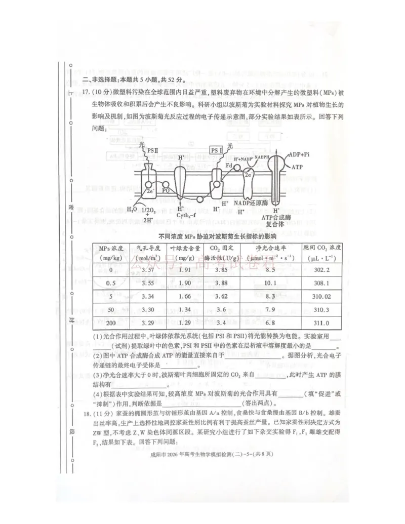 《咸阳市2026年高考模拟检测（二）生物_12.2026年4月全国各地高考模拟卷_2026年陕西省咸阳市高考模拟检测（二）_06生物_陕西省咸阳市高考模拟检测（二）》第5页预览