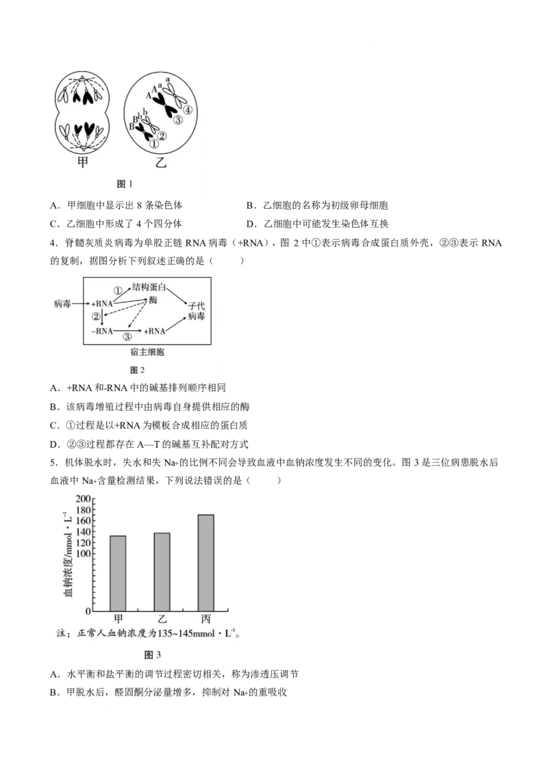 《云南省昭通一中教研联盟2025-2026学年高二下学期期中考试（B卷）生物试卷（含答案）_2024-2027高二（7-7月题库）_2026年05月高二试卷》第2页预览