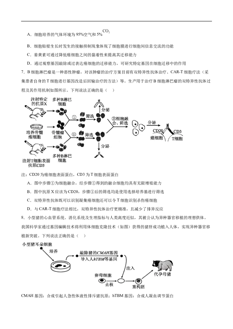 《安徽省芜湖市第一中学2025-2026学年高二下学期期中教学质量检测生物试卷（含答案）_2024-2027高二（7-7月题库）_2026年05月高二试卷》第3页预览