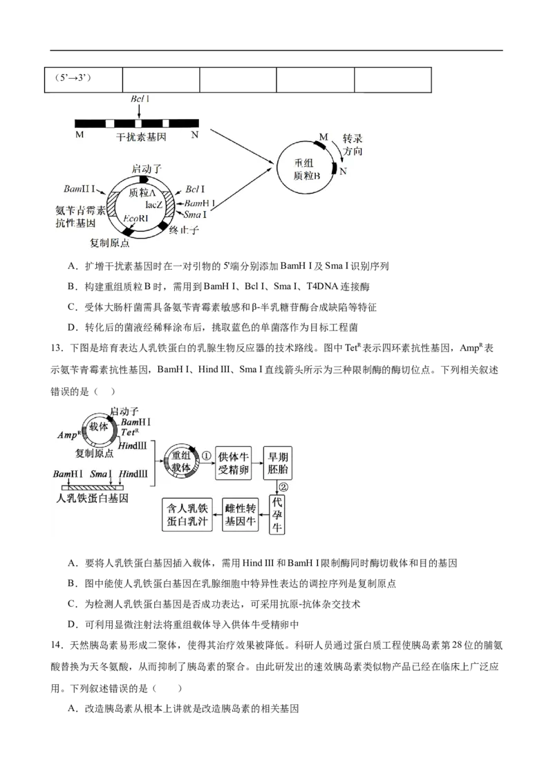 《安徽省芜湖市第一中学2025-2026学年高二下学期期中教学质量检测生物试卷（含答案）_2024-2027高二（7-7月题库）_2026年05月高二试卷》第5页预览
