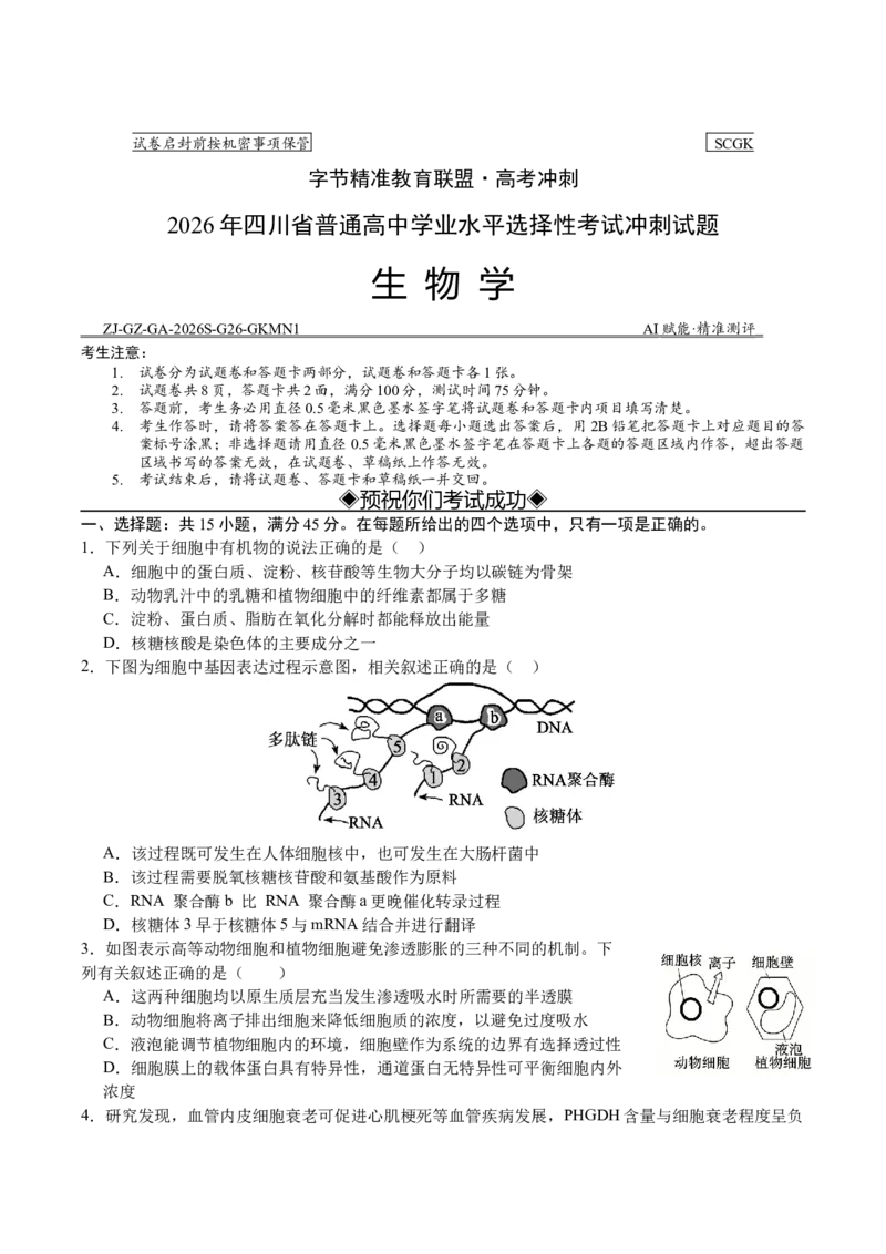 《四川省字节精准教育联盟2026届高三下学期考前学情自测（三模）生物试卷（含答案）_2024-2027高三（6-6月题库）_2026年05月高三试卷》第1页预览