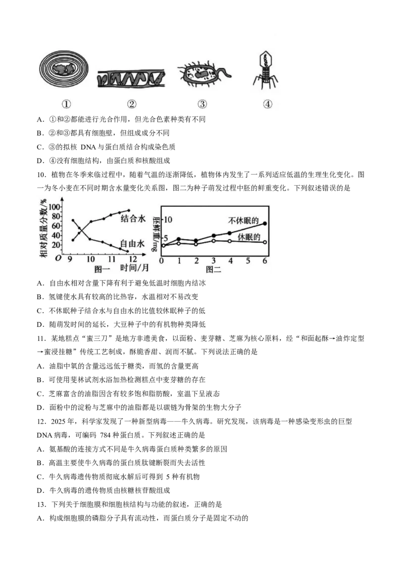 《山东省济宁市兖州区2025-2026学年高二下学期期中考试生物Word版含答案_2024-2027高二（7-7月题库）_2026年05月高二试卷_260526山东省济宁市兖州区2025-2026学年高二下学期期中考试》第3页预览