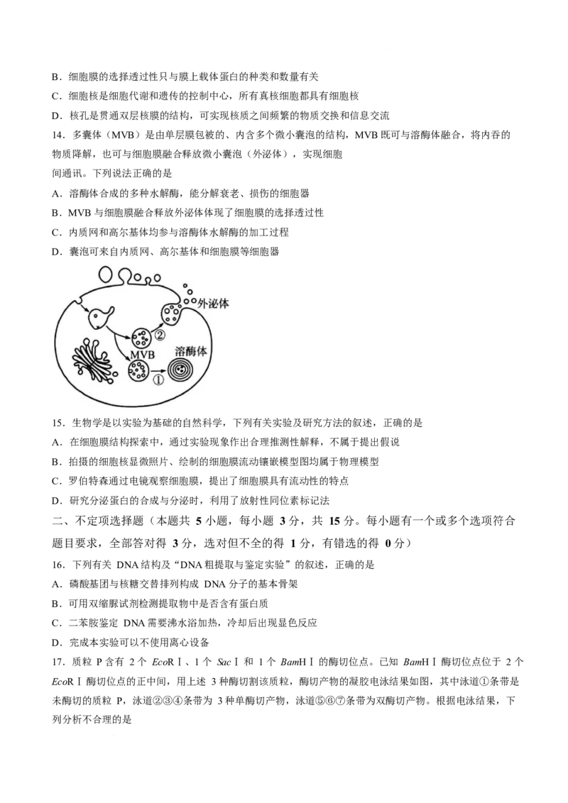 《山东省济宁市兖州区2025-2026学年高二下学期期中考试生物Word版含答案_2024-2027高二（7-7月题库）_2026年05月高二试卷_260526山东省济宁市兖州区2025-2026学年高二下学期期中考试》第4页预览