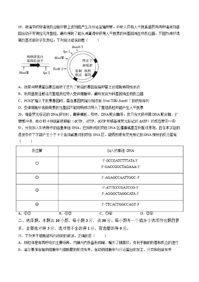 《山东省菏泽市鄄城县第一中学2025-2026学年高二下学期6月阶段检测生物试卷（图片版，含答案）(1)_2024-2027高二（7-7月题库）_2026年06月高二试卷》第6页预览