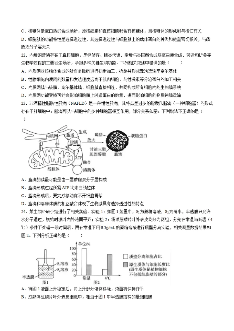 《山东省菏泽市鄄城县第一中学2025-2026学年高二下学期6月阶段检测生物试卷（图片版，含答案）(1)_2024-2027高二（7-7月题库）_2026年06月高二试卷》第7页预览