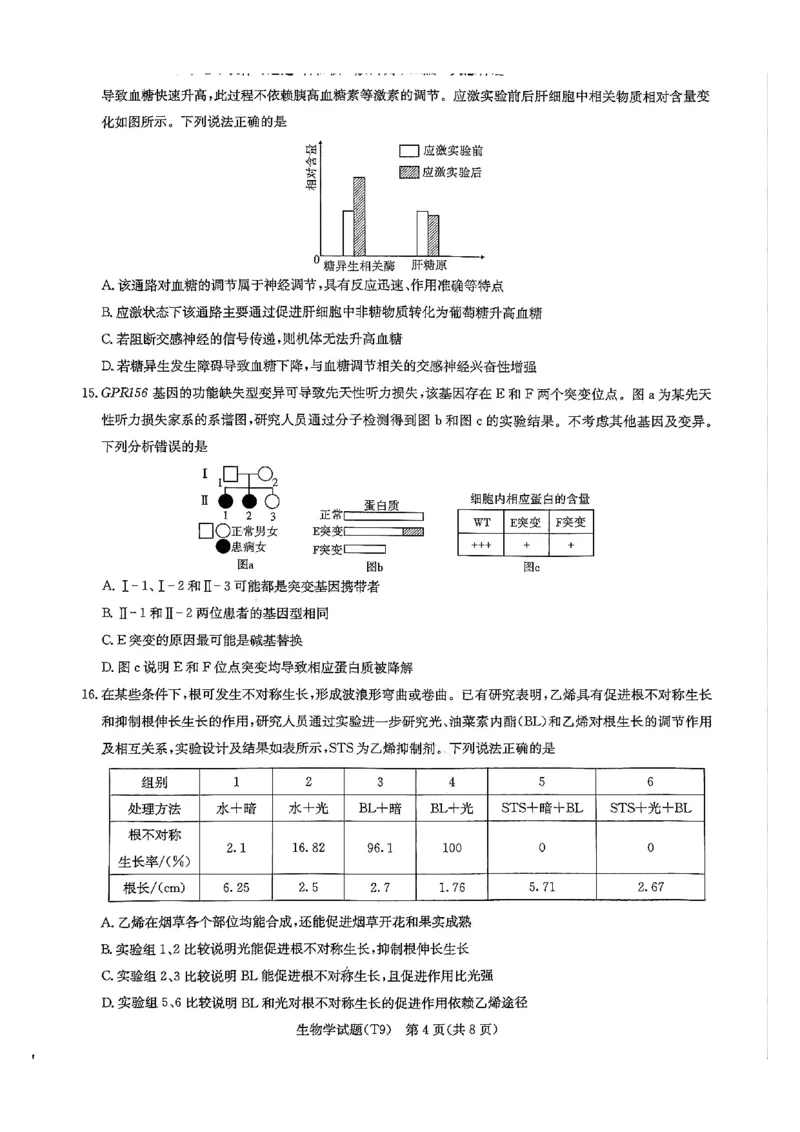 《师大附中2026届高三月考试卷(九)生物_2024-2027高三(6-6月题库)_2026年05月高三试卷_260515湖南省师大附中2026届高三月考试卷(九)(全科)》第4页预览