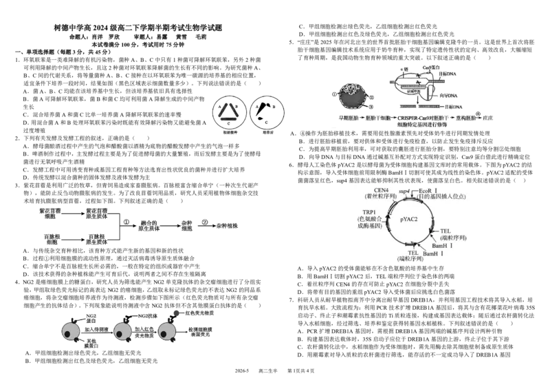 《四川省树德中学2025-2026学年高二下学期5月期中考试生物PDF版含答案（可编辑）_2024-2027高二（7-7月题库）_2026年05月高二试卷》第1页预览