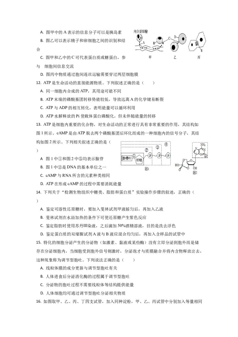 《四川省眉山市彭山区第一中学2025-2026学年高一上学期12月月考生物试题（含答案）_2026年高一《月考+期中考+阶段性检测真题合集》全国各省全科无水印》第3页预览