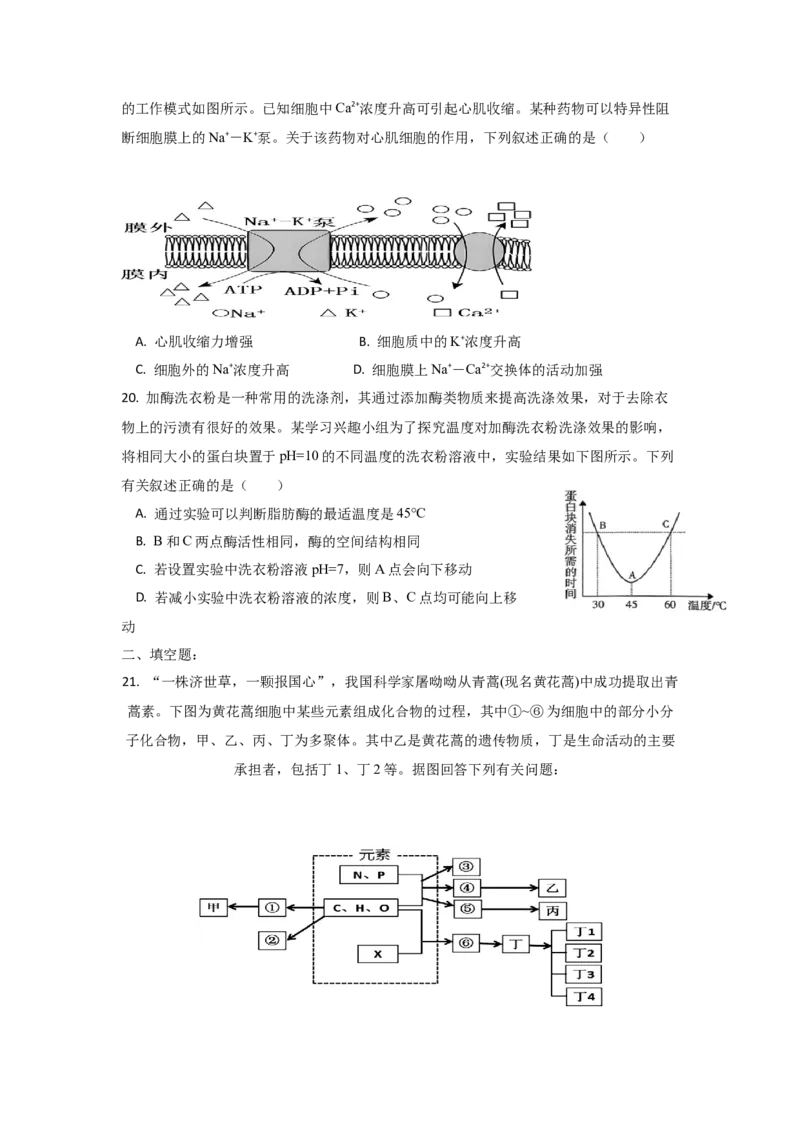 《四川省眉山市彭山区第一中学2025-2026学年高一上学期12月月考生物试题（含答案）_2026年高一《月考+期中考+阶段性检测真题合集》全国各省全科无水印》第5页预览
